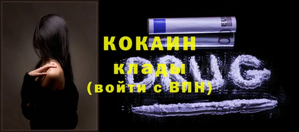 мяу мяу мука Аркадак