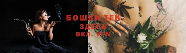 мяу мяу мука Аркадак