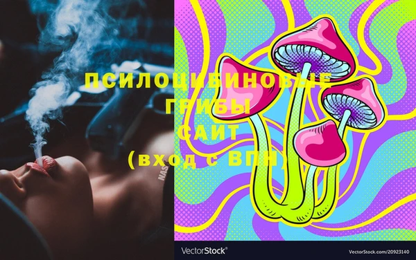 мяу мяу мука Аркадак